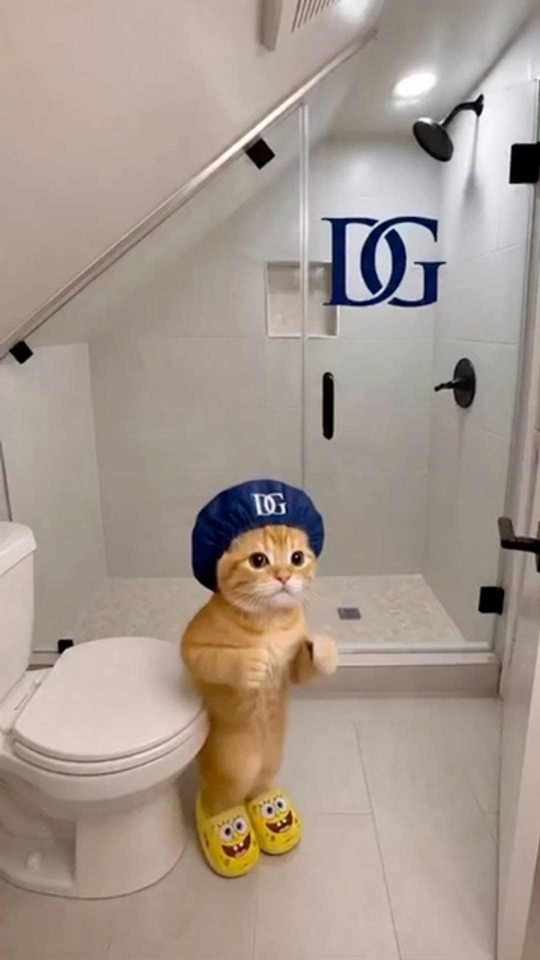 @catflix_ on ReverseGram