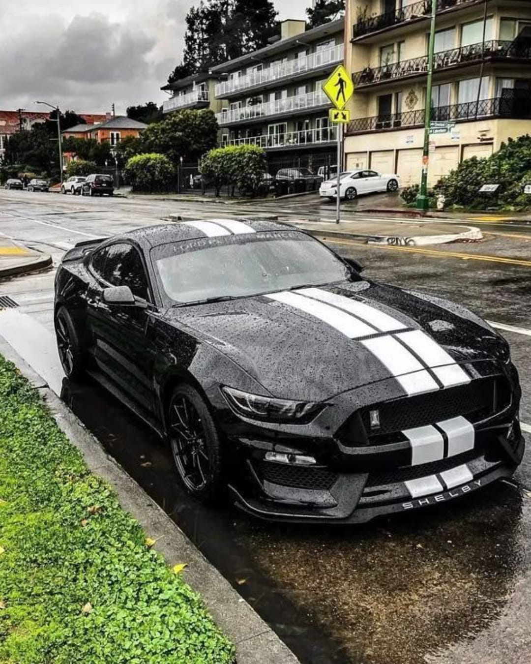 Stang 🔥 – @carbar_media
