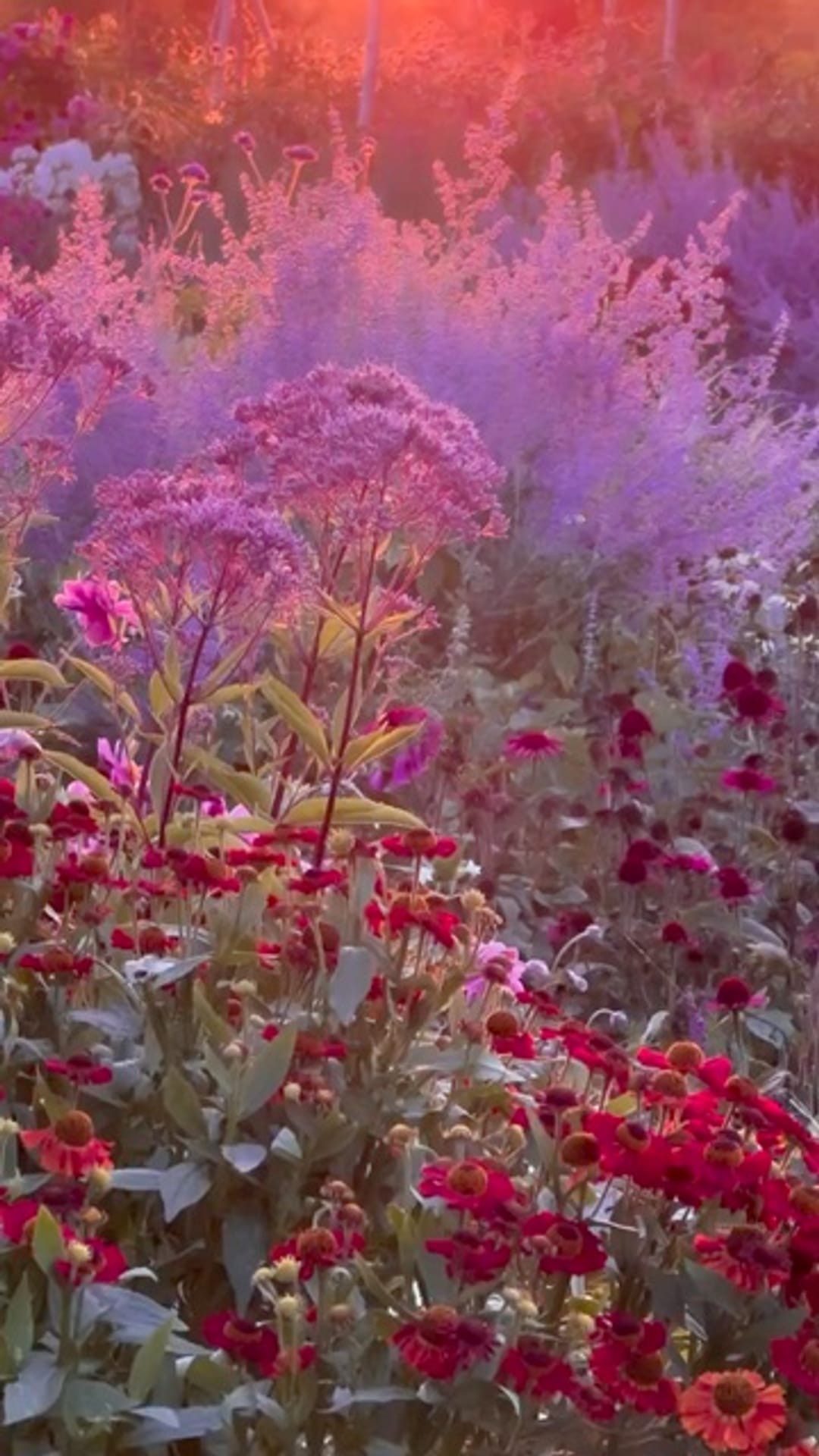 @flowers_e on ReverseGram