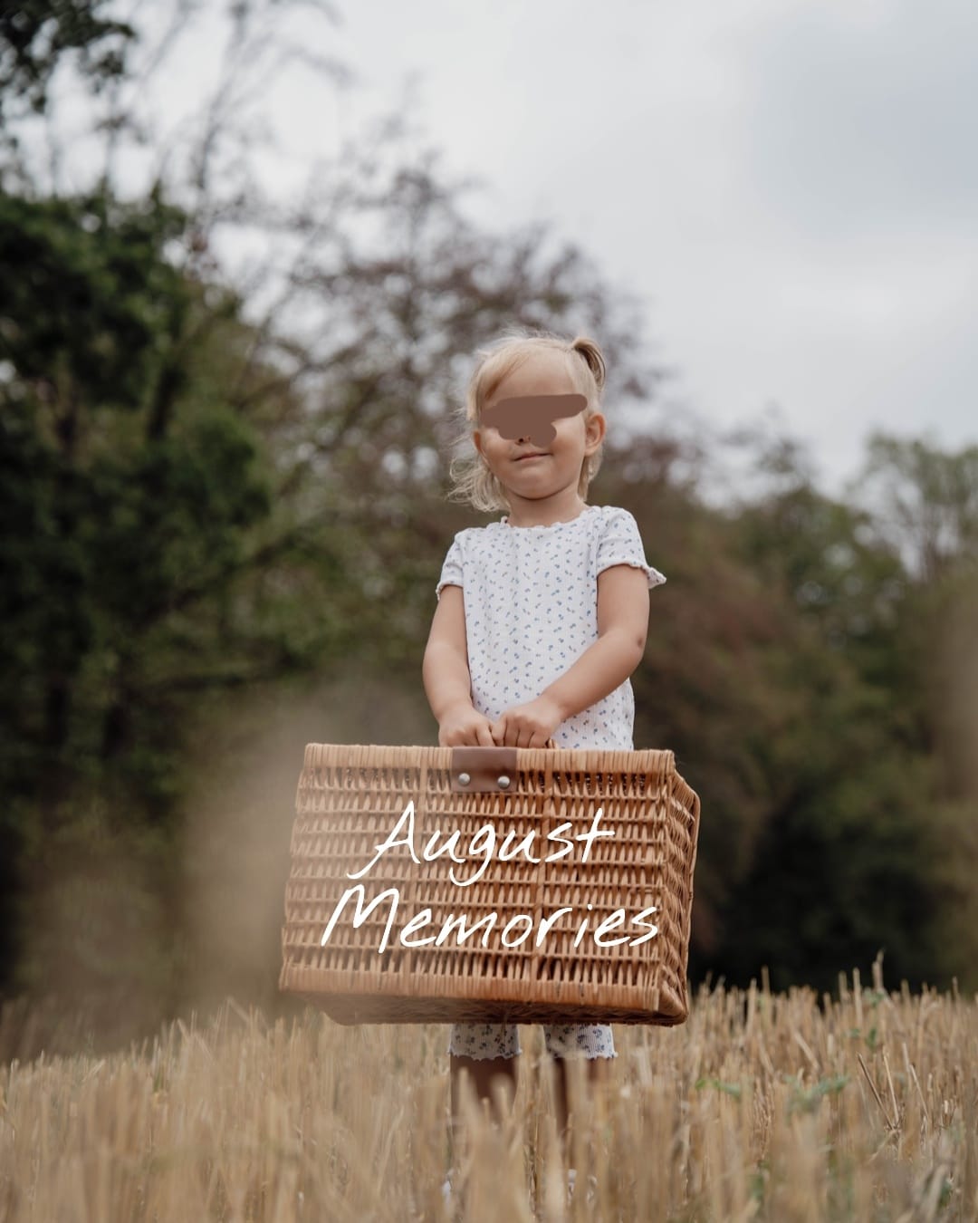 🌾✨ August Memories ✨🌾 Der Sommer neigt sich langsam dem Ende zu – und zurück bleiben diese kleinen… – @lichtklang.fotografie