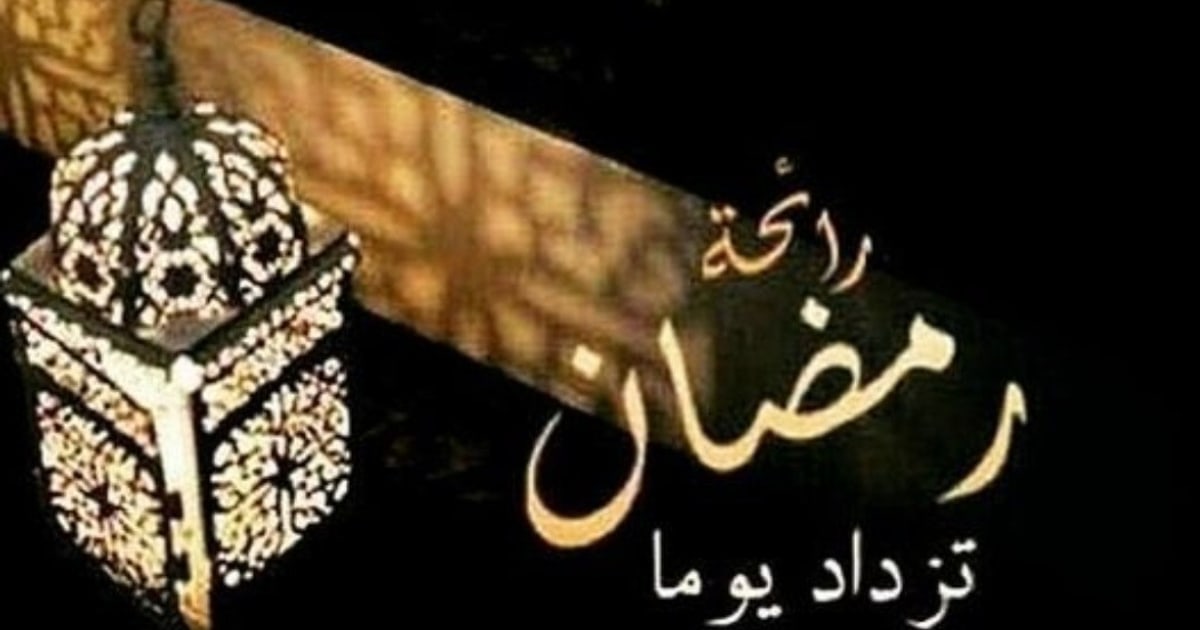 @reda_zayed on ReverseGram