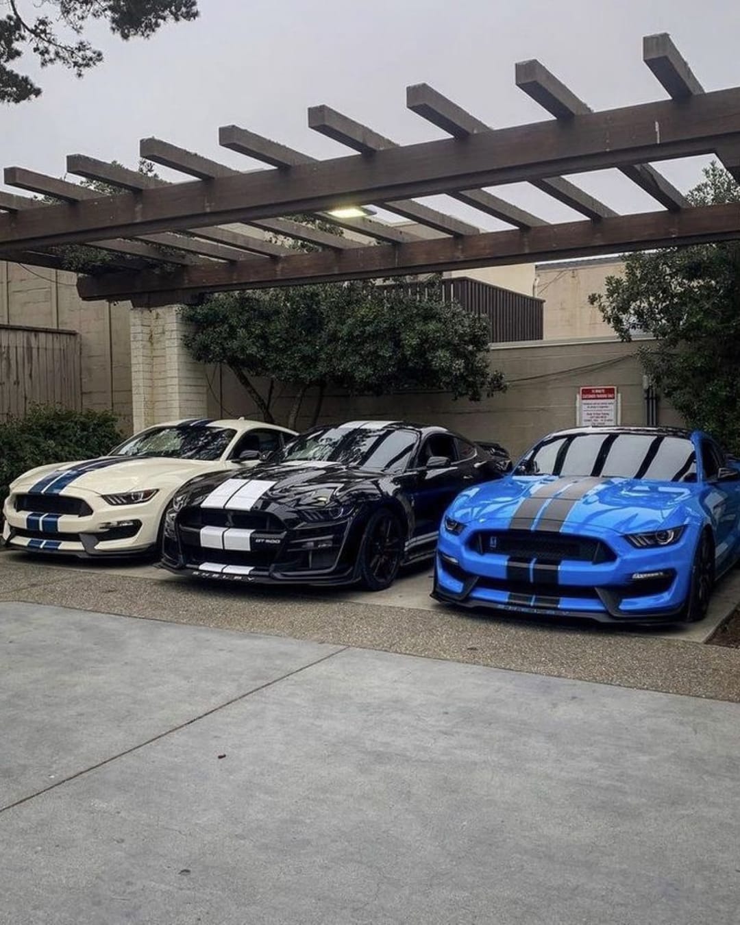 triple threat – @carbar_media