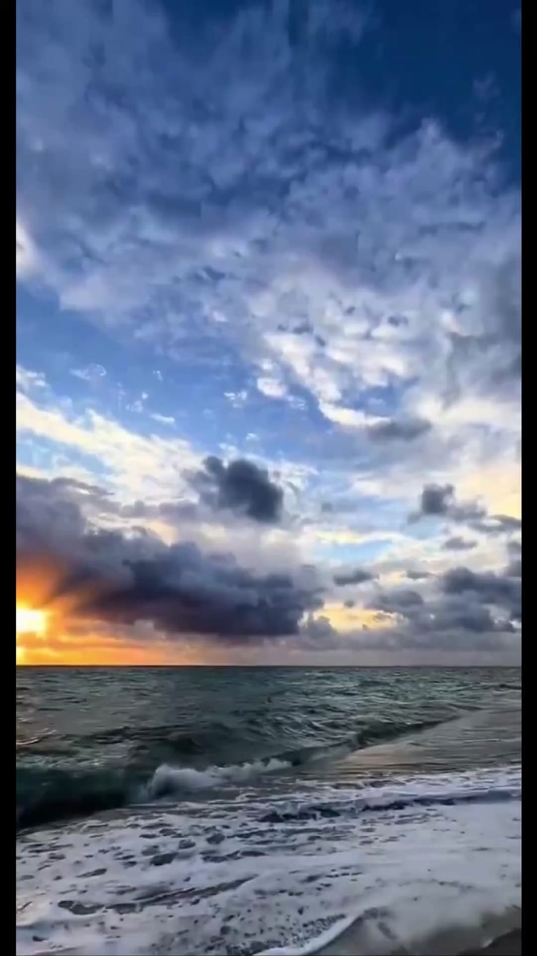 @amira.mohanad on ReverseGram