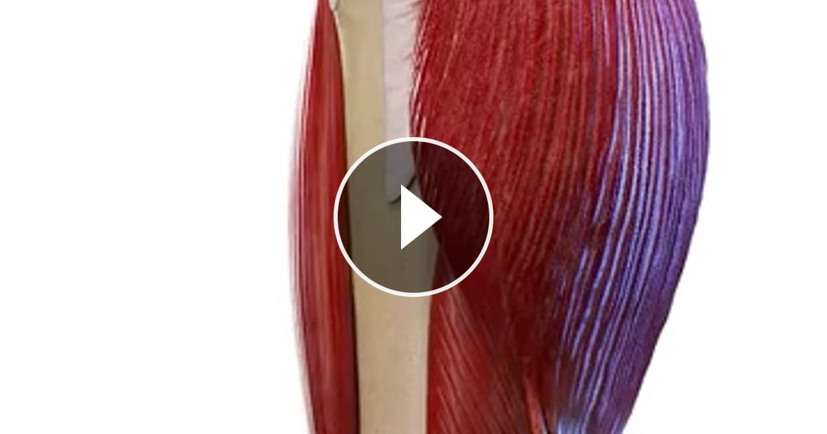 @physiolocal on ReverseGram