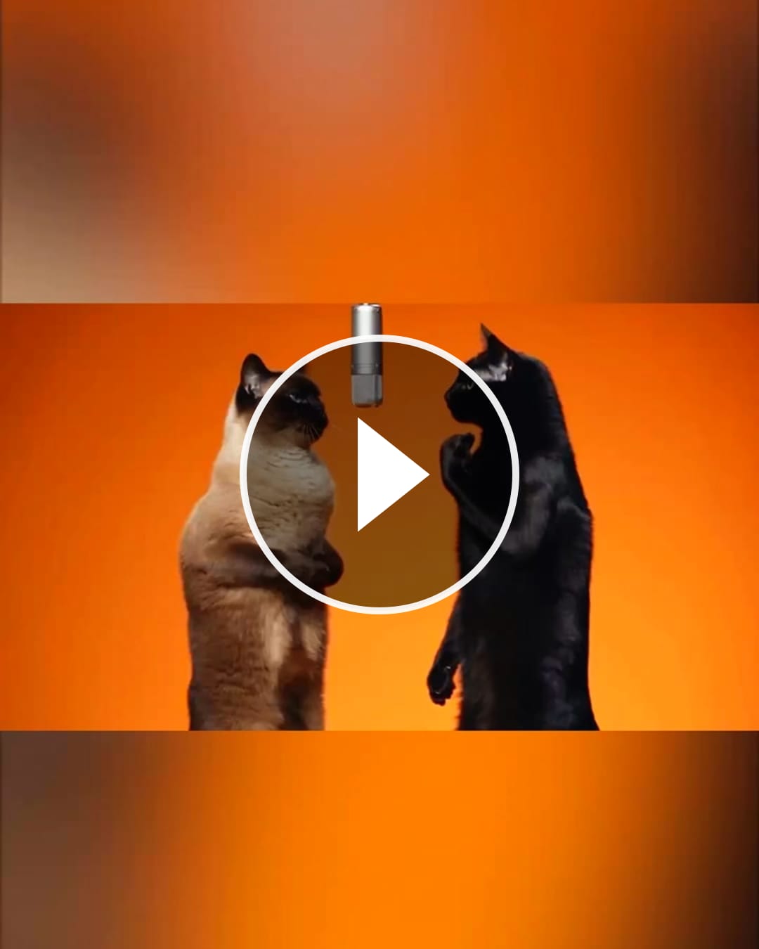 Video von @music_slash auf ReverseGram
