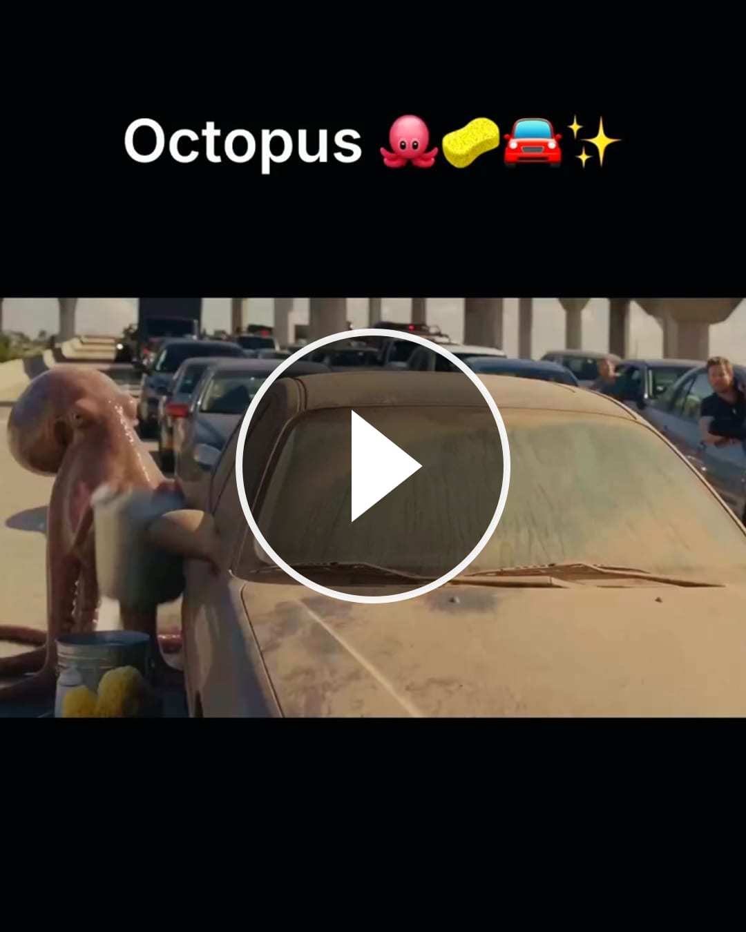 Octopus 🐙🧽🚘✨ – @x1_
