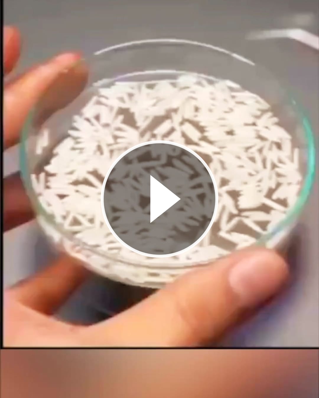 This Is How Rice Feeds Billions Of People – @kalvinoba
