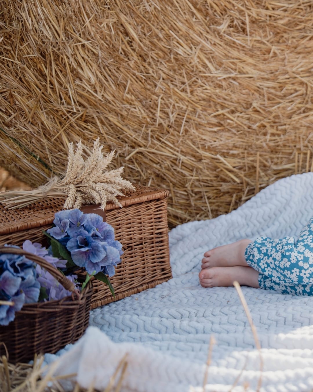 🌾💙 Kleine Sommergeschichten 💙🌾 Zwischen goldenem Korn, weichen Strohballen und warmen Sonnenstrahlen… – @lichtklang.fotografie