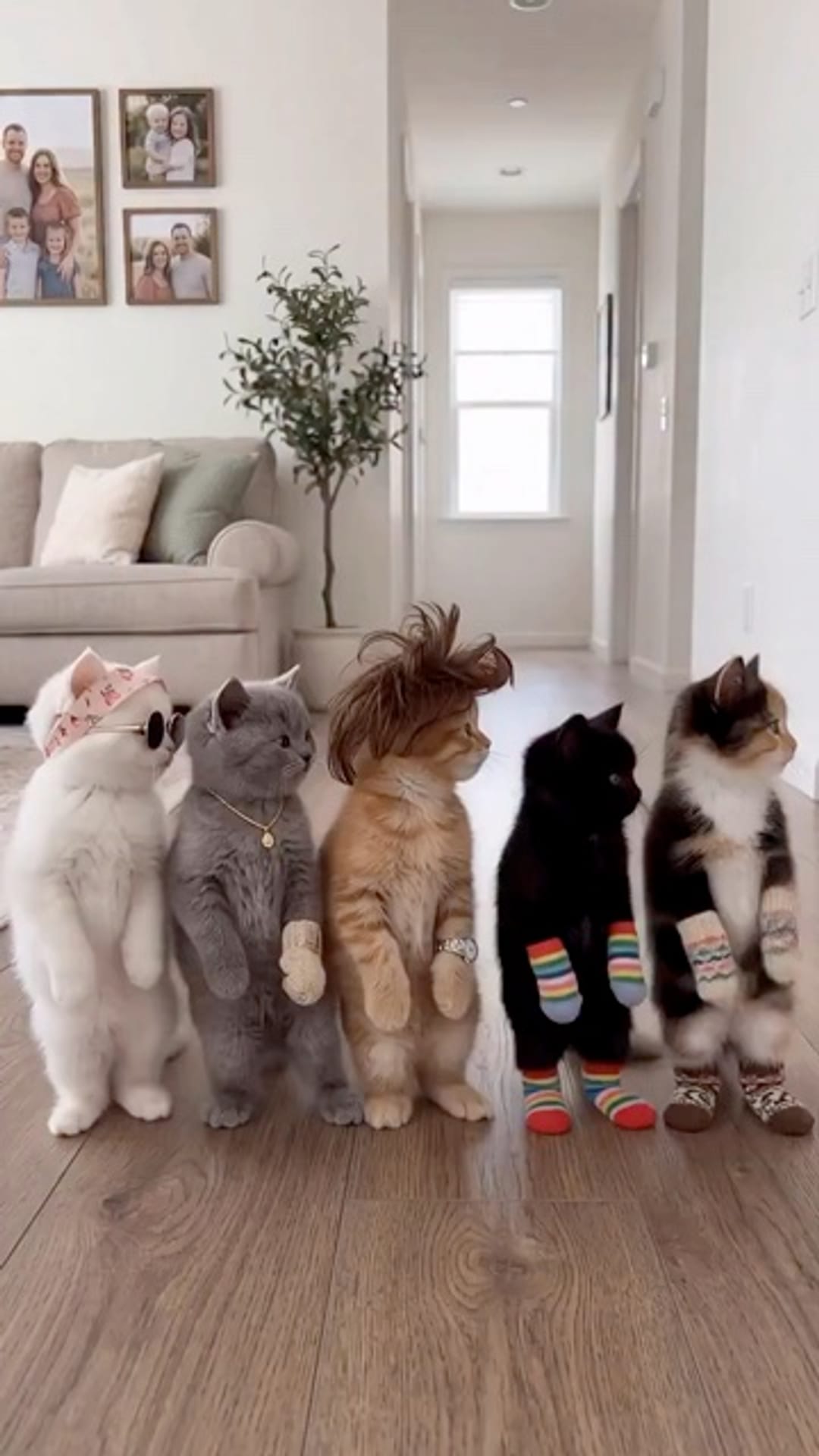 @catflix_ on ReverseGram
