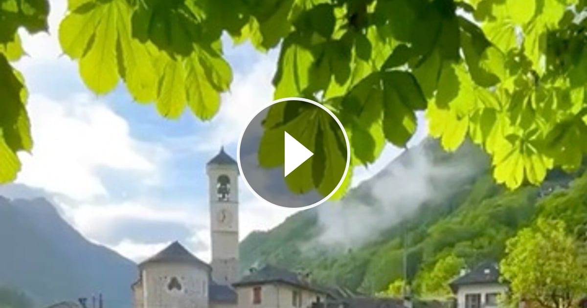 @jakse6 on ReverseGram