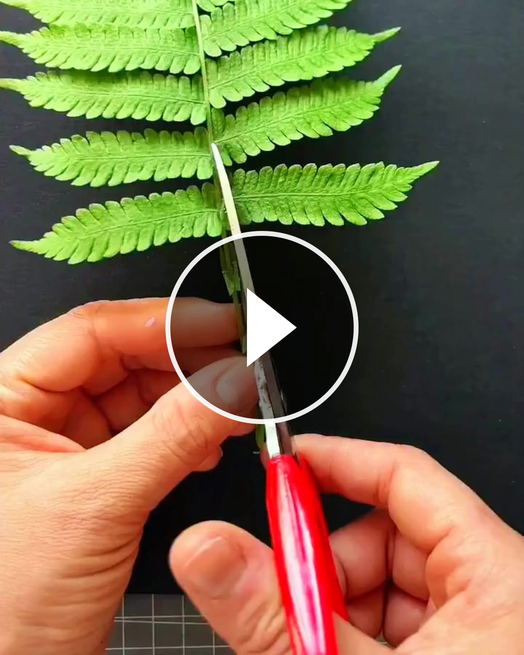 These adorable hedgehog leaf collages are so easy to make with push-button glue! – @sx200