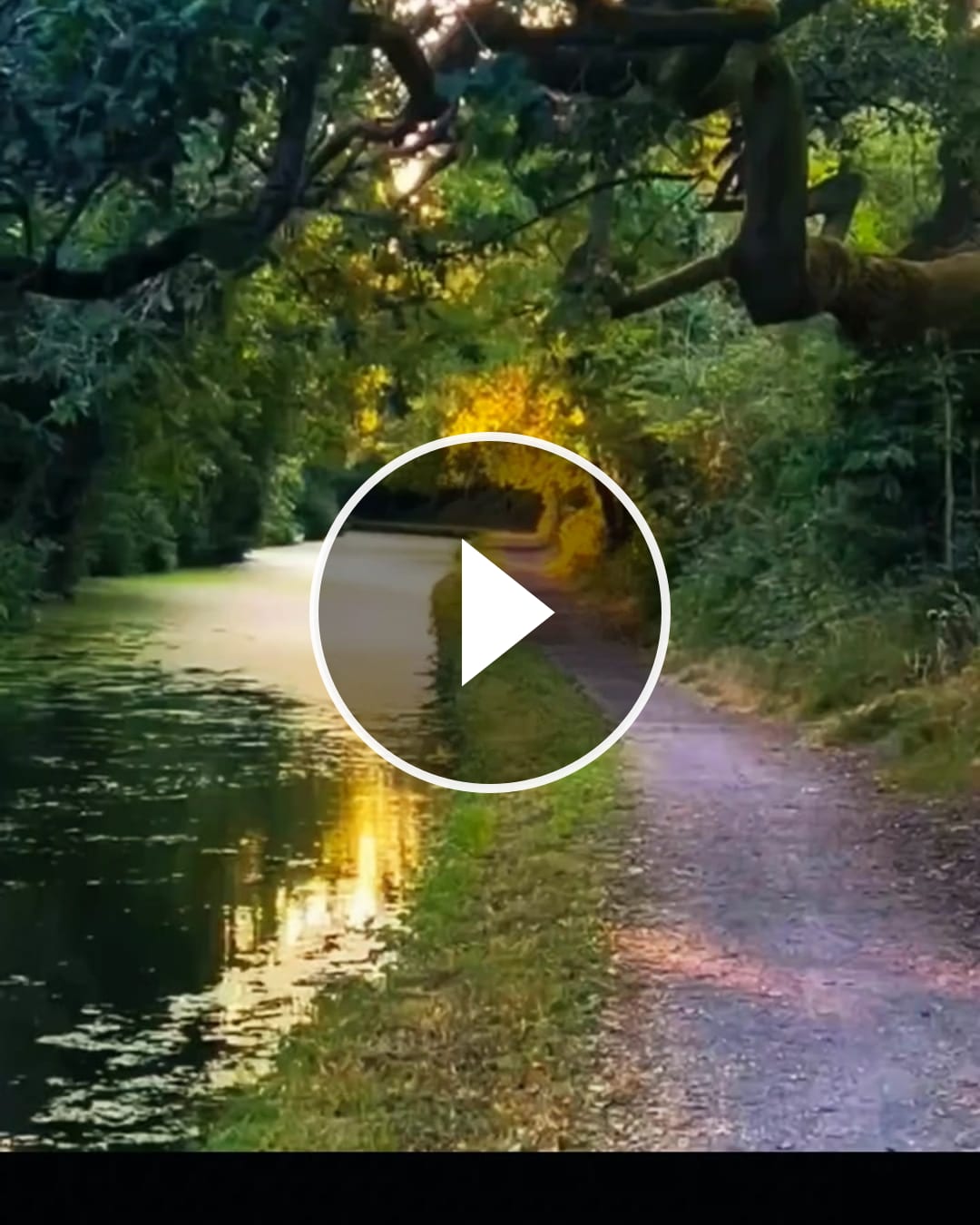 Video von @lobna.gabara