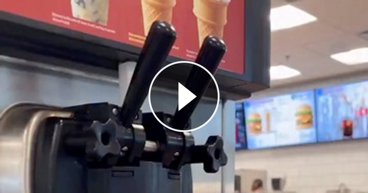 Video von @catflix_ auf ReverseGram