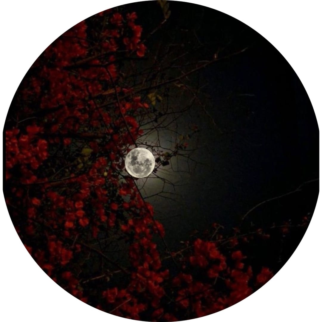 @sara02 on ReverseGram