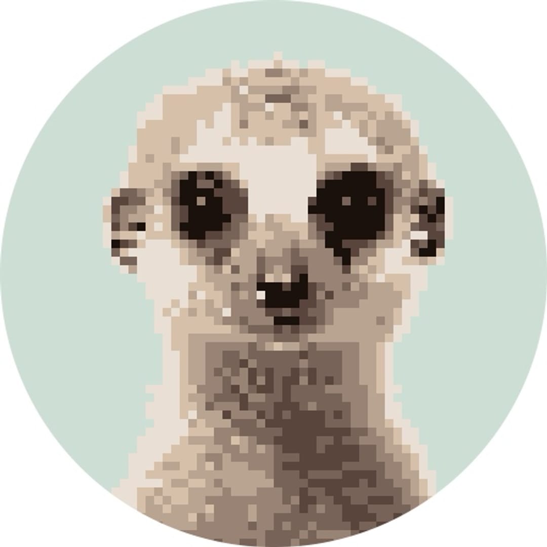 @zeranjo193 on ReverseGram